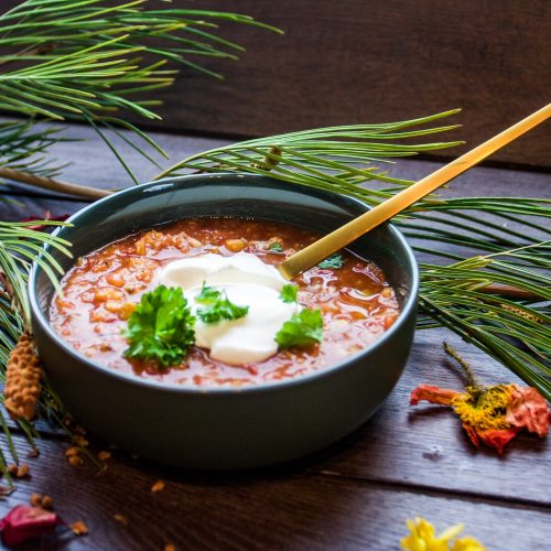 slow cooker lentil soup